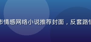 同类都市情感网络小说推荐封面，反套路情感故事
