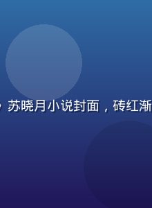 《二枪入一洞》苏晓月小说封面，砖红渐变艺术风格配图